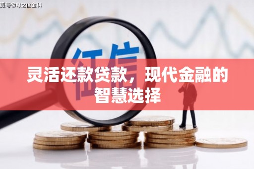 临潭灵活还款贷款，现代金融的智慧选择