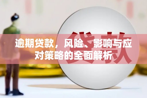临潭逾期贷款，风险、影响与应对策略的全面解析