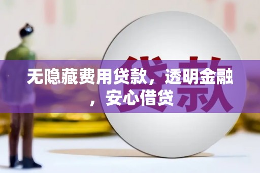 临潭无隐藏费用贷款，透明金融，安心借贷