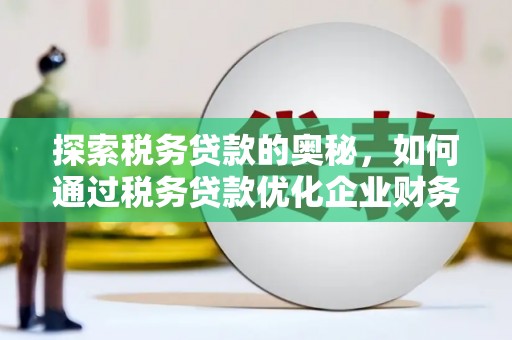 临潭探索税务贷款的奥秘，如何通过税务贷款优化企业财务