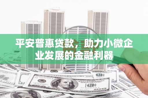 临潭平安普惠贷款，助力小微企业发展的金融利器