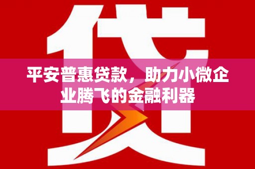 临潭平安普惠贷款，助力小微企业腾飞的金融利器
