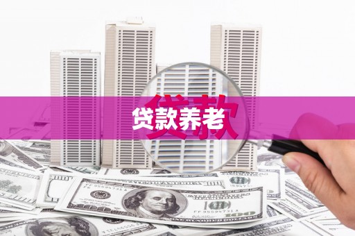 临潭贷款养老