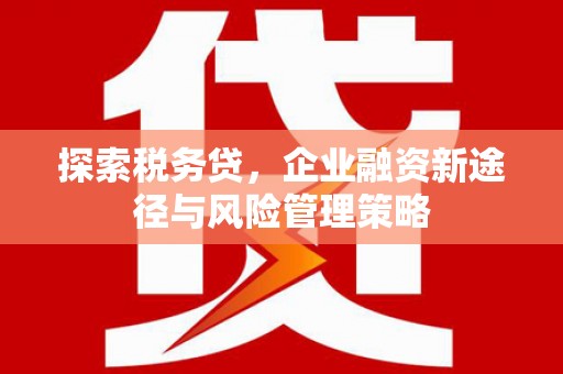 临潭探索税务贷，企业融资新途径与风险管理策略
