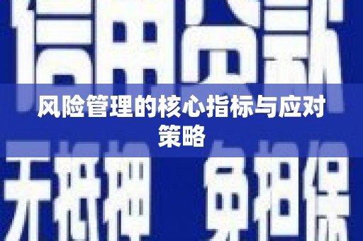 临潭风险管理的核心指标与应对策略
