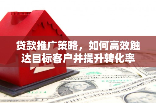 临潭贷款推广策略，如何高效触达目标客户并提升转化率