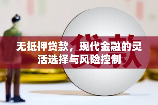 临潭无抵押贷款，现代金融的灵活选择与风险控制