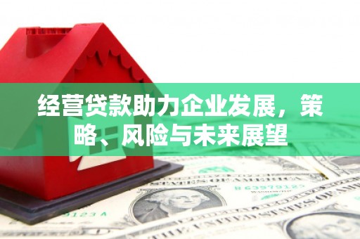 临潭经营贷款助力企业发展，策略、风险与未来展望