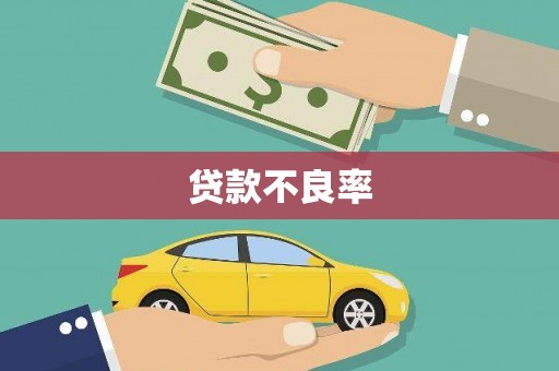临潭贷款不良率