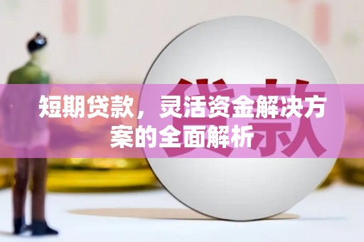 临潭短期贷款，灵活资金解决方案的全面解析