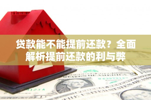 临潭贷款能不能提前还款？全面解析提前还款的利与弊