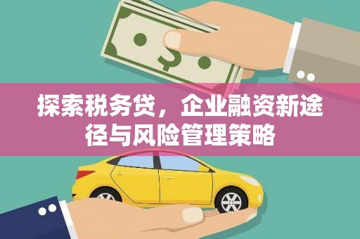 临潭探索税务贷，企业融资新途径与风险管理策略