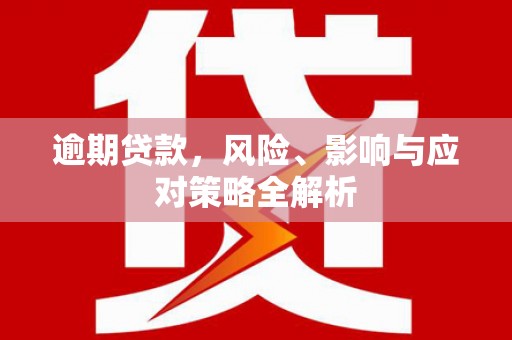 临潭逾期贷款，风险、影响与应对策略全解析