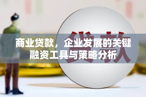 临潭商业贷款，企业发展的关键融资工具与策略分析