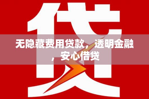 临潭无隐藏费用贷款，透明金融，安心借贷
