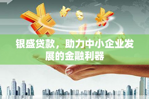 临潭银盛贷款，助力中小企业发展的金融利器