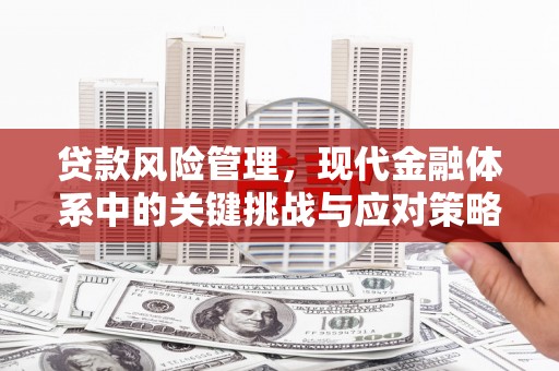 临潭贷款风险管理，现代金融体系中的关键挑战与应对策略