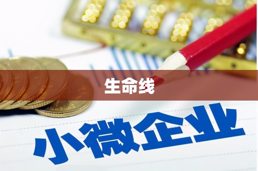 临潭生命线
