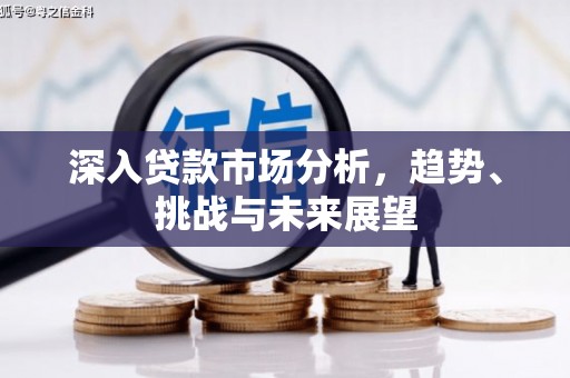 临潭深入贷款市场分析，趋势、挑战与未来展望