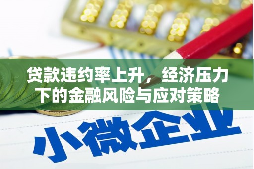 临潭贷款违约率上升，经济压力下的金融风险与应对策略