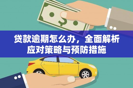 临潭贷款逾期怎么办，全面解析应对策略与预防措施