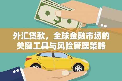 临潭外汇贷款，全球金融市场的关键工具与风险管理策略