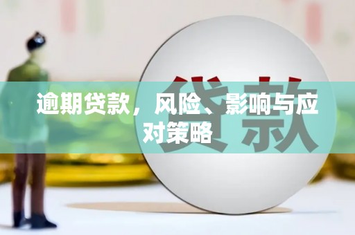 临潭逾期贷款，风险、影响与应对策略