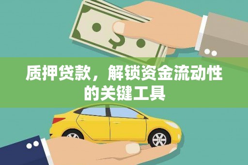临潭质押贷款，解锁资金流动性的关键工具
