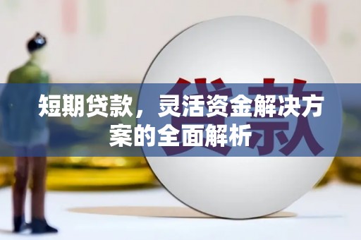 临潭短期贷款，灵活资金解决方案的全面解析