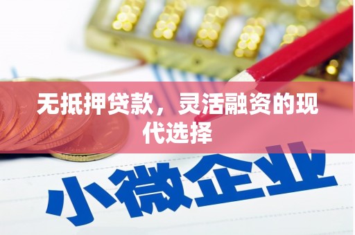 临潭无抵押贷款，灵活融资的现代选择