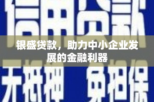 临潭银盛贷款，助力中小企业发展的金融利器