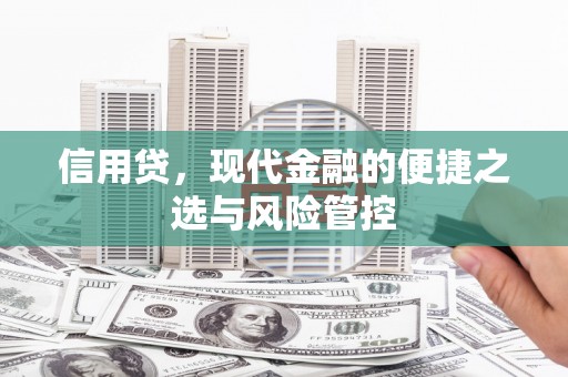 临潭信用贷，现代金融的便捷之选与风险管控