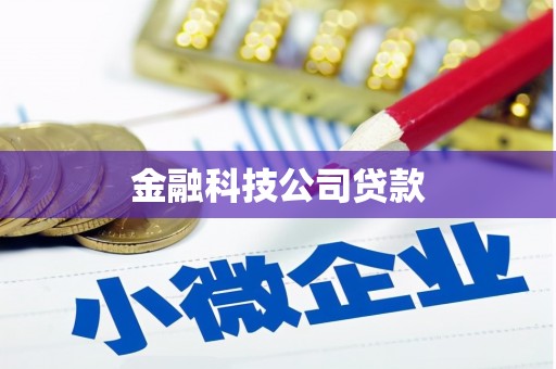 临潭金融科技公司贷款