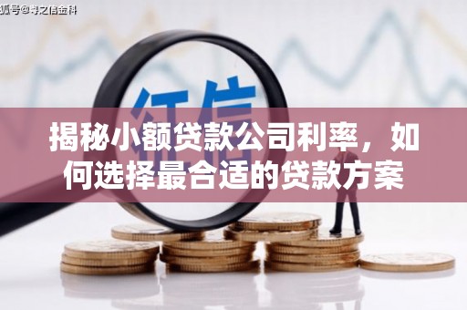 临潭揭秘小额贷款公司利率，如何选择最合适的贷款方案