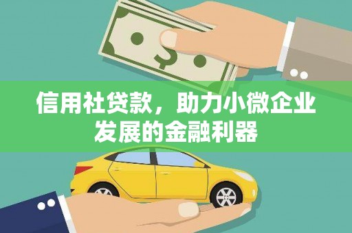 临潭信用社贷款，助力小微企业发展的金融利器