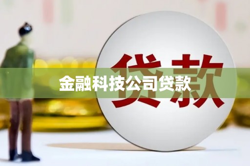 临潭金融科技公司贷款