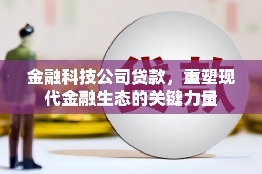 临潭金融科技公司贷款，重塑现代金融生态的关键力量