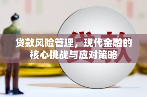 临潭贷款风险管理，现代金融的核心挑战与应对策略