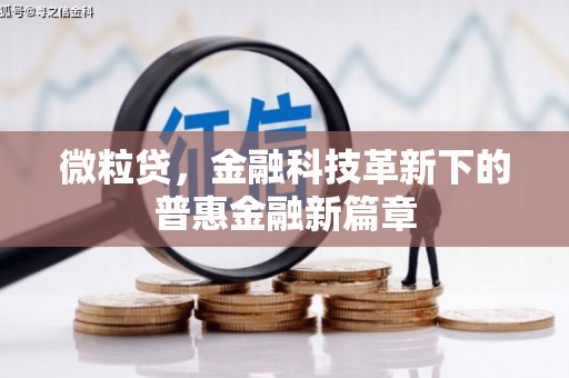 临潭微粒贷，金融科技革新下的普惠金融新篇章