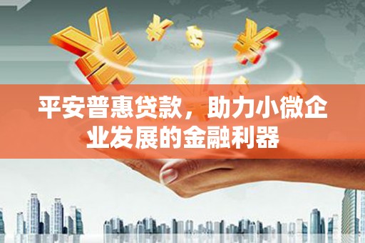 临潭平安普惠贷款，助力小微企业发展的金融利器