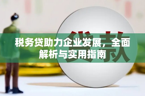 临潭税务贷助力企业发展，全面解析与实用指南