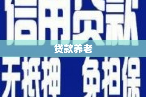 临潭贷款养老