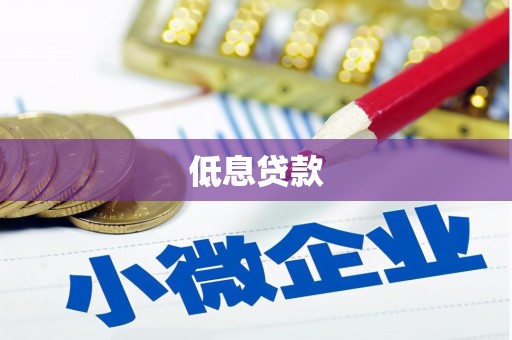 临潭低息贷款