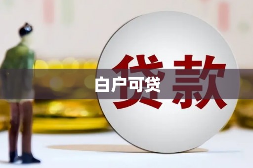 临潭白户可贷