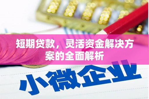 临潭短期贷款，灵活资金解决方案的全面解析