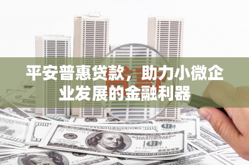 临潭平安普惠贷款，助力小微企业发展的金融利器