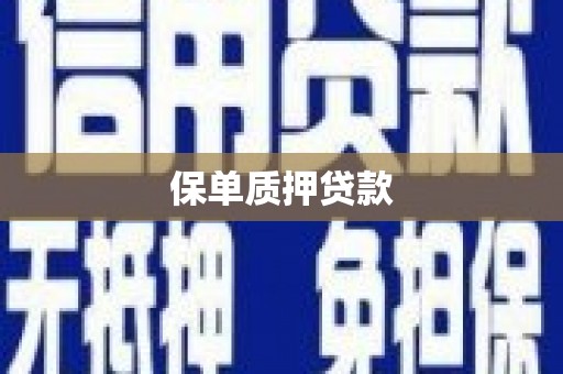 临潭保单质押贷款