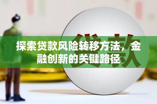 临潭探索贷款风险转移方法，金融创新的关键路径