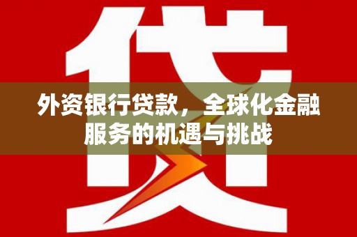 临潭外资银行贷款，全球化金融服务的机遇与挑战