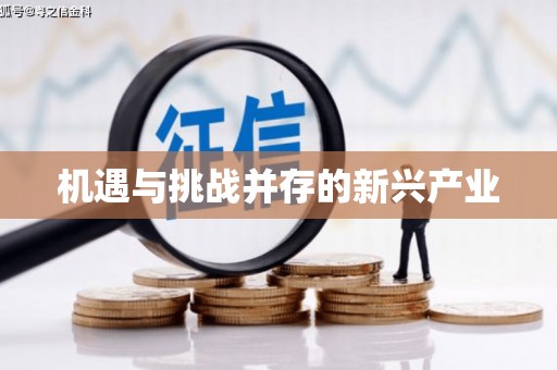 临潭机遇与挑战并存的新兴产业